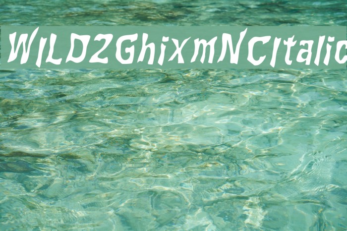 WILD2GhixmNC-Italic Font examples