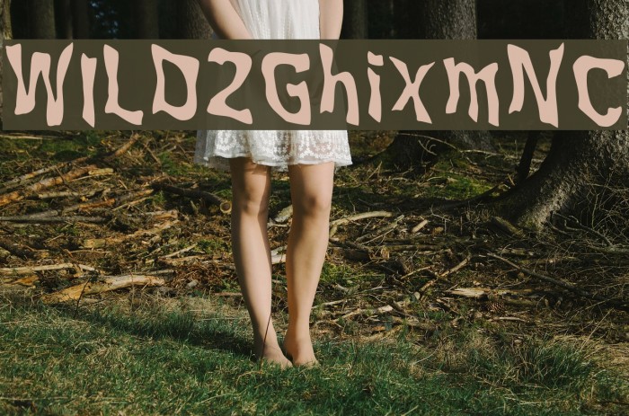 WILD2GhixmNC Example 1