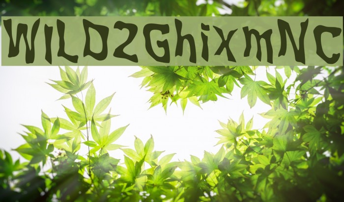 WILD2GhixmNC Example 2