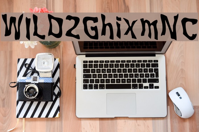 WILD2GhixmNC Example 3