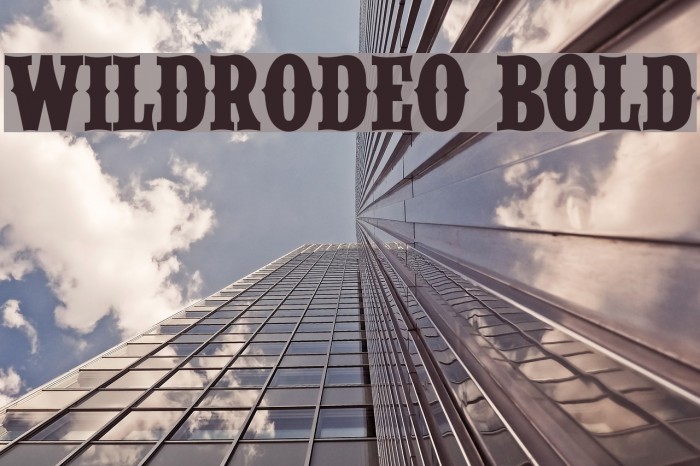 WILDRODEO Bold Example 1