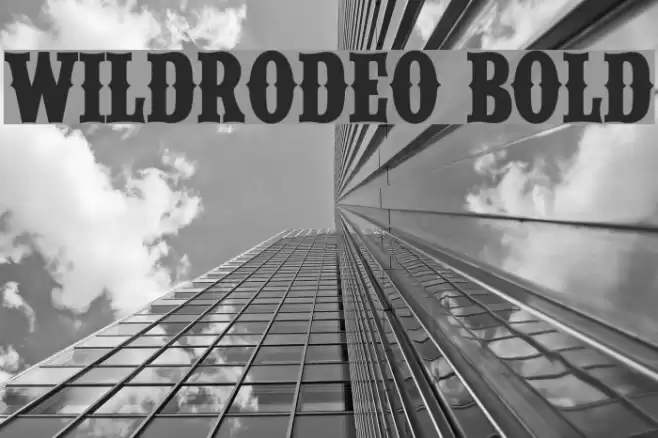 WILDRODEO Bold Font examples