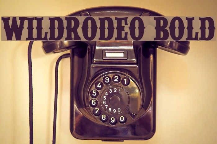 WILDRODEO Bold Example 3