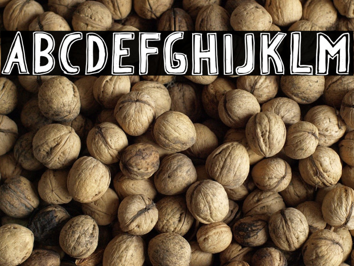 WILDSTAR ACADEMY Example 3