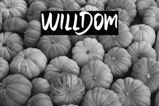 WILLDOM Font examples