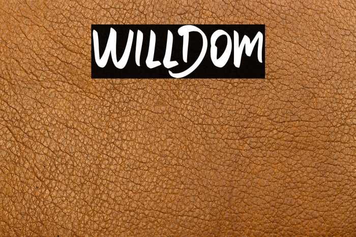 WILLDOM Example 3