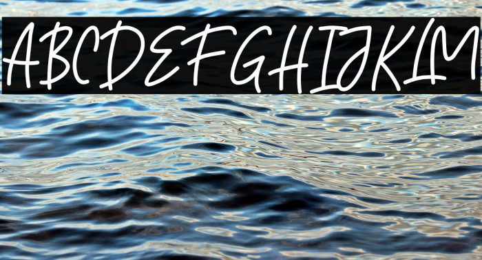 WILLONALINE DEMO Example 1