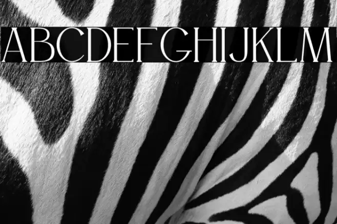 WILLSON Personal Use Font examples