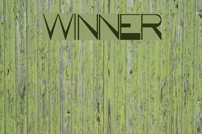 WINNER Font examples