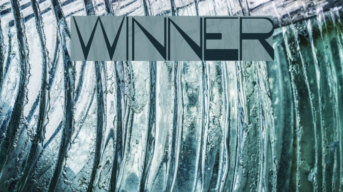 WINNER Font examples