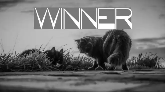 WINNER Font examples