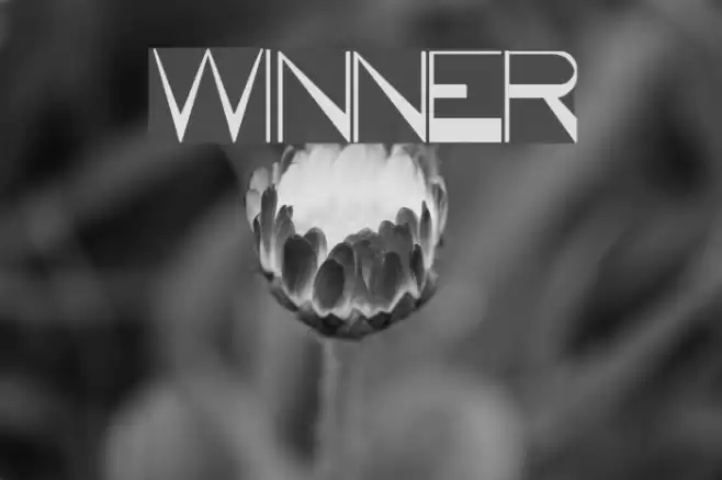 WINNER Font examples