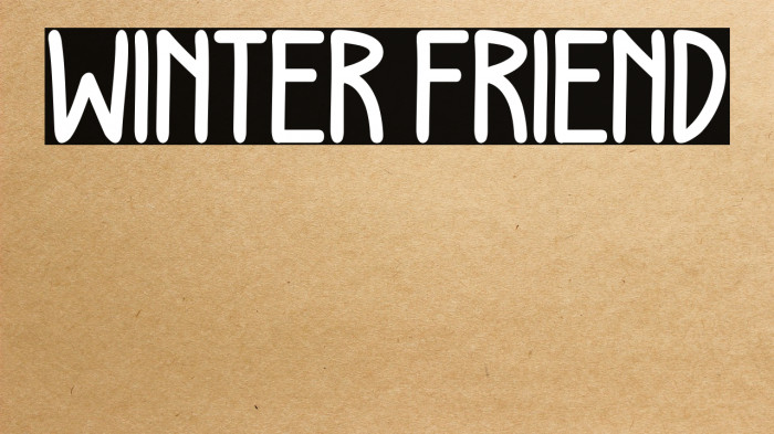 WINTER FRIEND Example 2