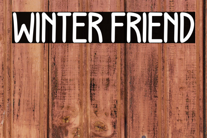 WINTER FRIEND Example 3