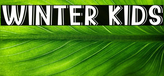 WINTER KIDS Example 2