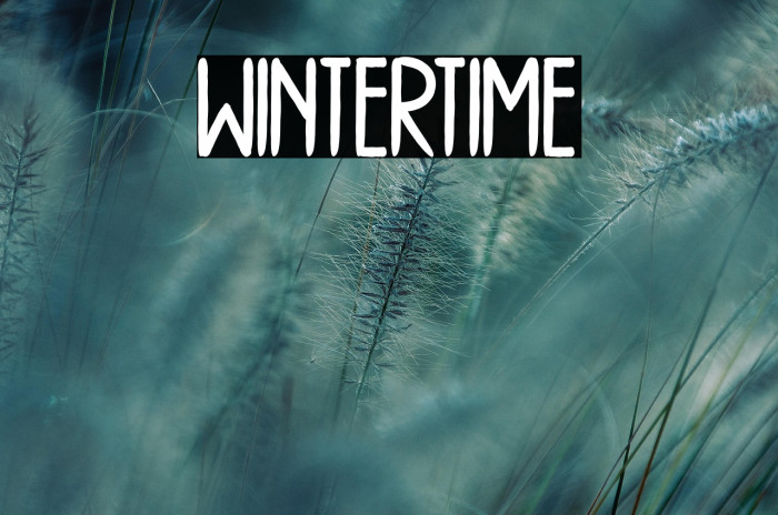 WINTERTIME Example 2