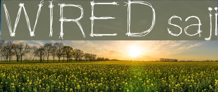 WIRED saji Font examples