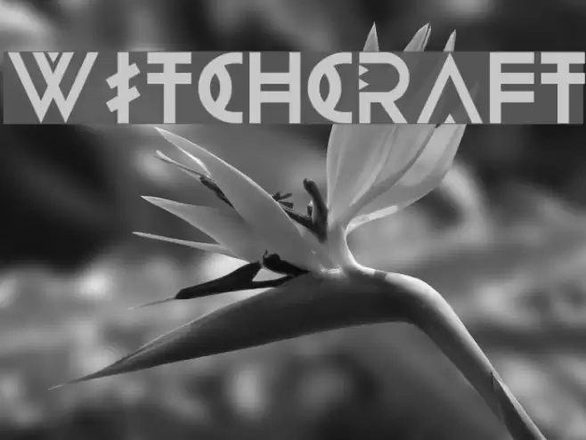 WITCHCRAFT フォント examples