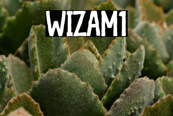 WIZAM1 Example 1