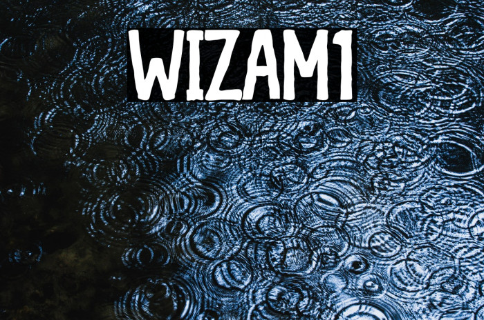 WIZAM1 Example 3