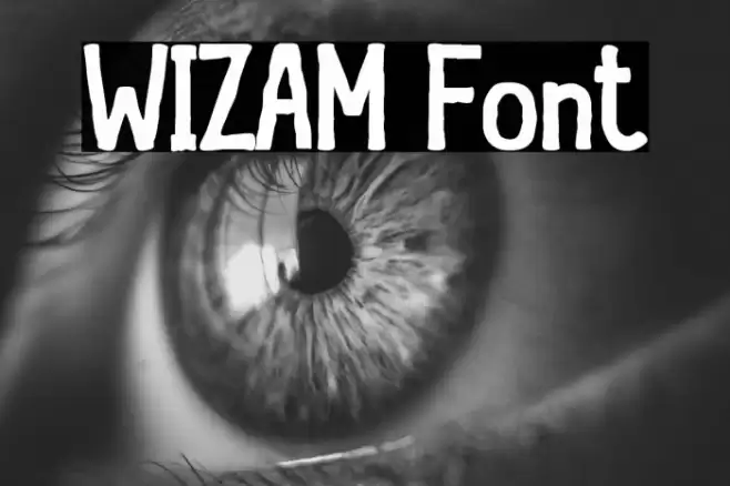 WIZAM Fuentes examples