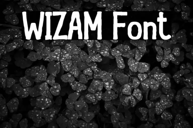 WIZAM Fuentes examples