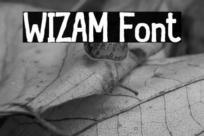 WIZAM Fuentes examples