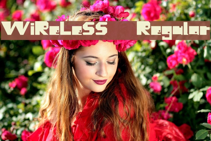 WiReLeSS Regular Example 3