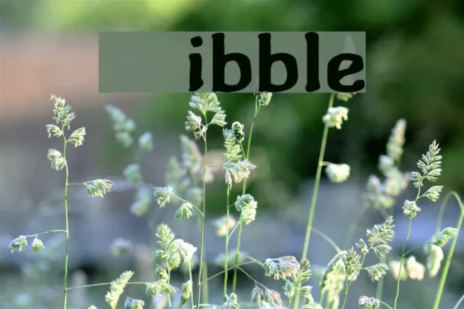 Wibble Example 1