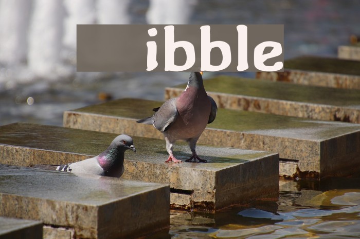 Wibble Font examples