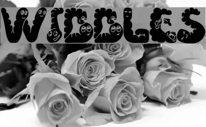 Wibbles Font examples