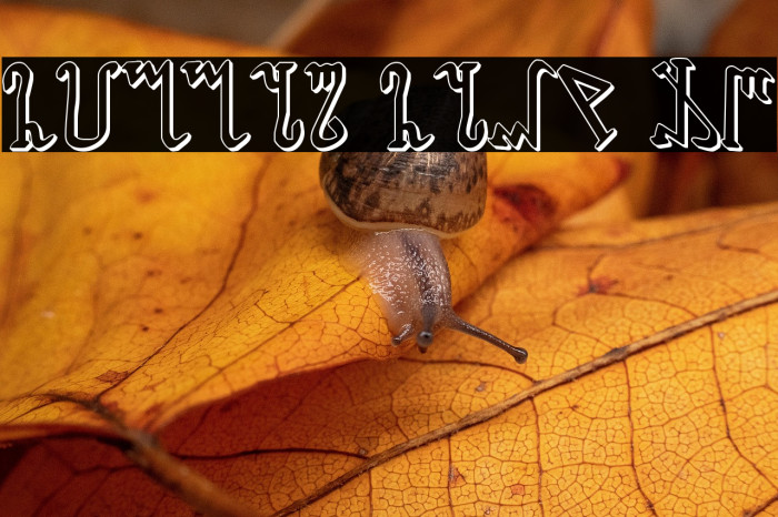 Wiccan Ways 3D Example 1