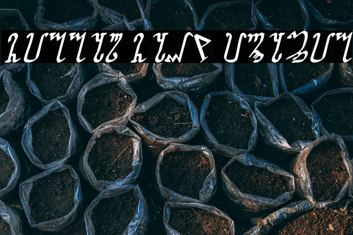 Wiccan Ways Italic Example 3