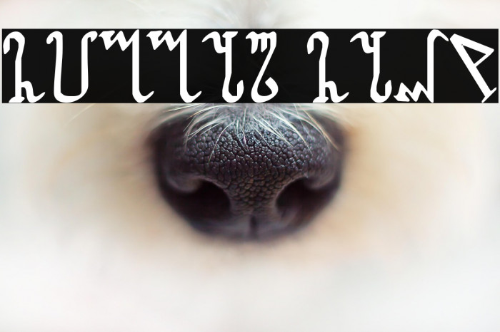 Wiccan Ways Example 3