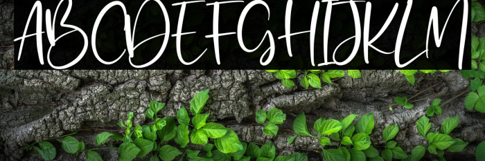 Wicked Dream Example 2