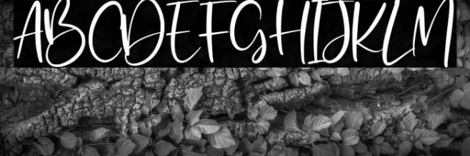 Wicked Dream Font examples