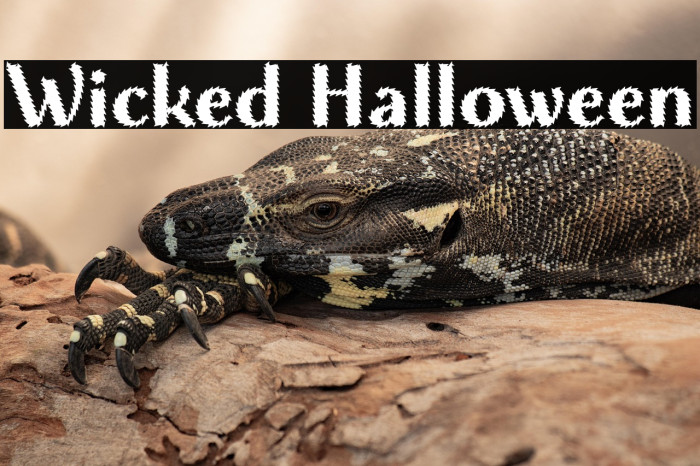 Wicked Halloween Example 1