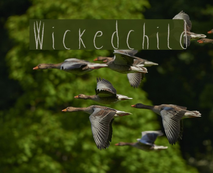 Wicked child Font examples