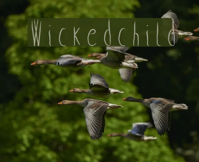 Wicked child Example 3
