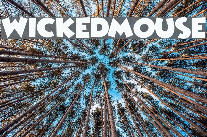 WickedMouse Font examples