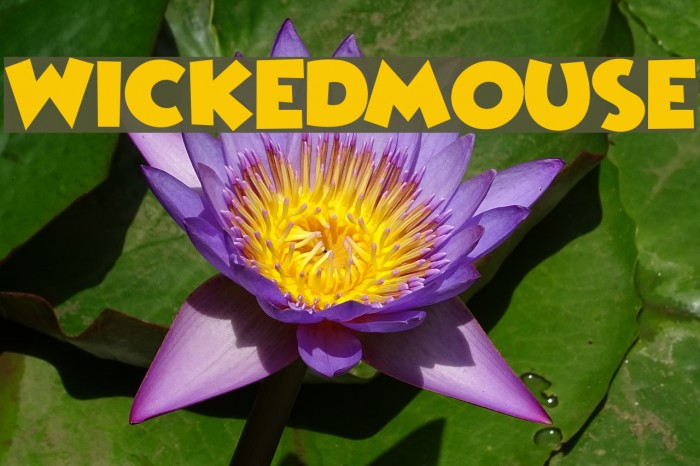 WickedMouse Font examples