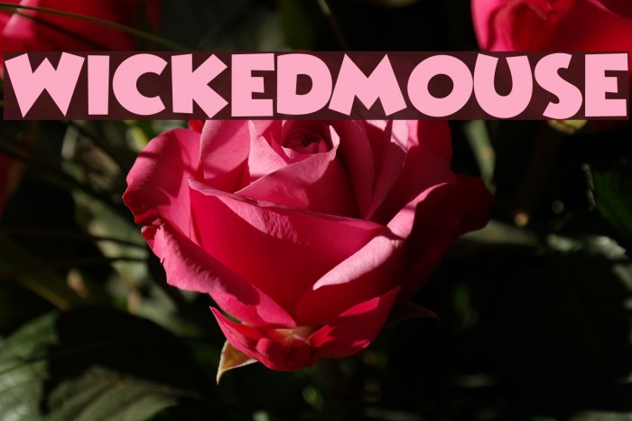 WickedMouse Font examples