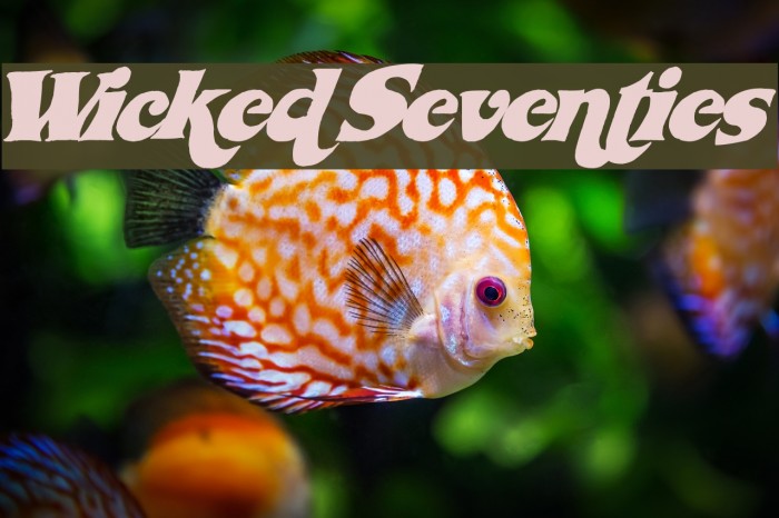 WickedSeventies Font examples