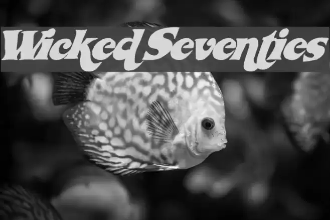 WickedSeventies フォント examples