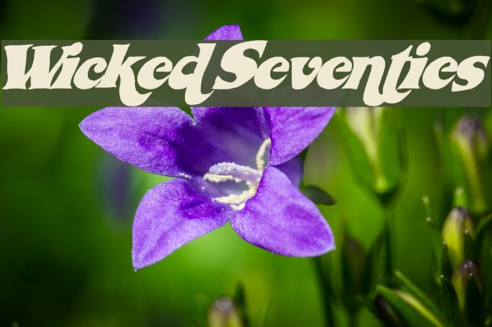 WickedSeventies Font examples