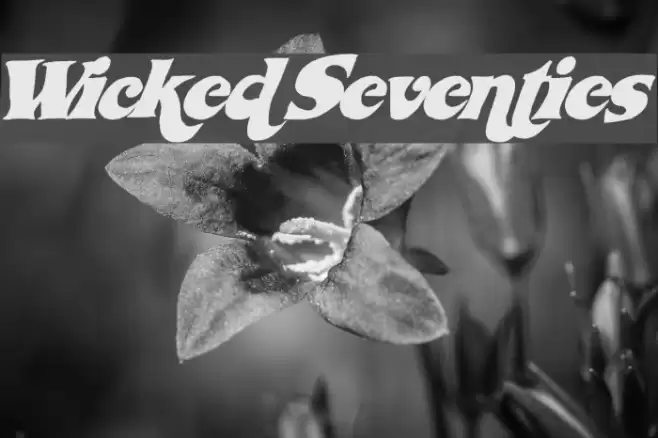 WickedSeventies フォント examples