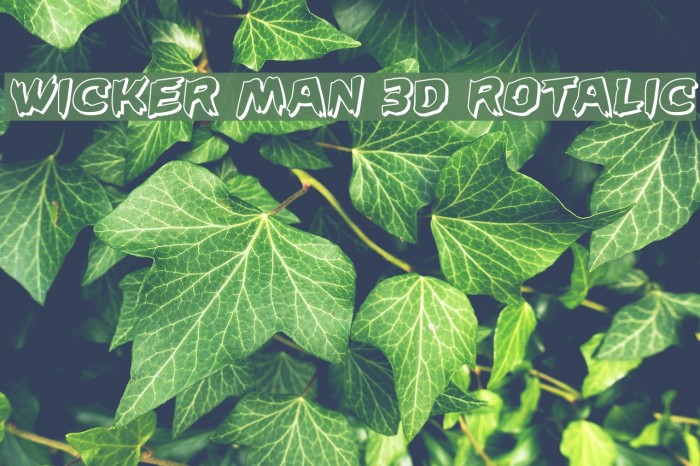 Wicker Man 3D Rotalic Font examples