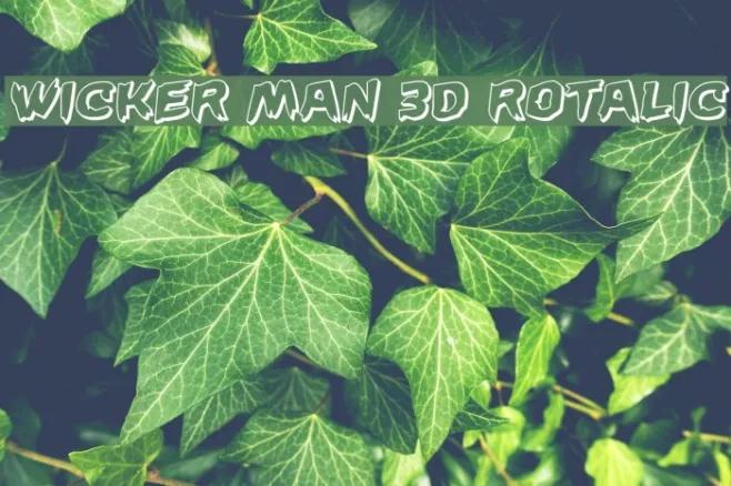 Wicker Man 3D Rotalic Example 1