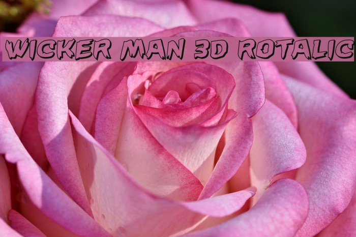 Wicker Man 3D Rotalic Font examples