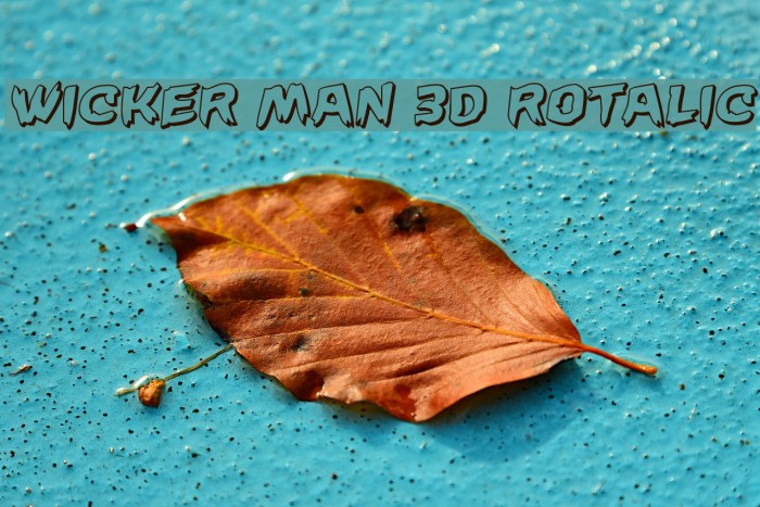 Wicker Man 3D Rotalic Font examples